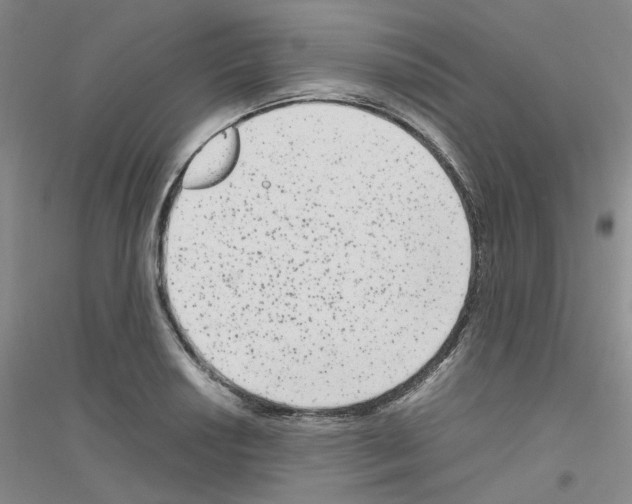 X0000116781034201001281650