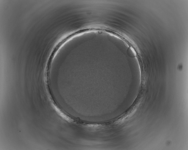 X0000116781037201001281650