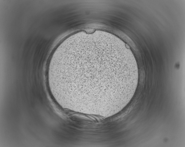 X0000116781039201001281650