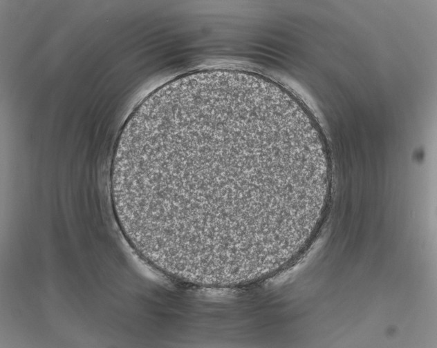 X0000116781041201001281650