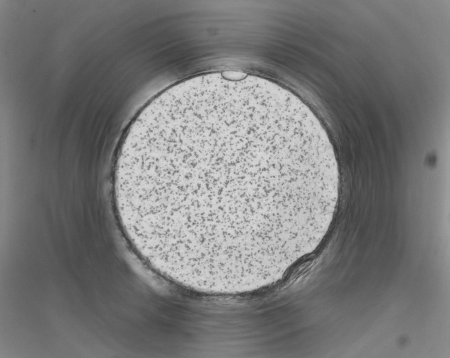 X0000116781042201001281650