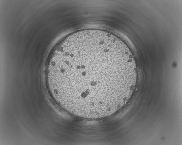 X0000116781043201001281650