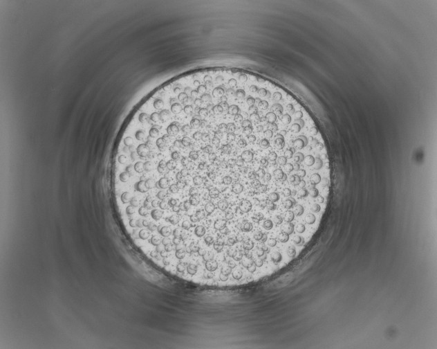 X0000116781044201001281650