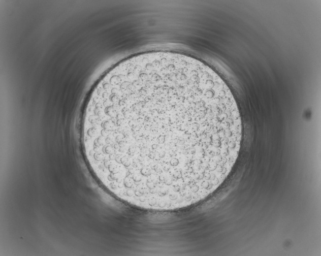 X0000116781046201001281650