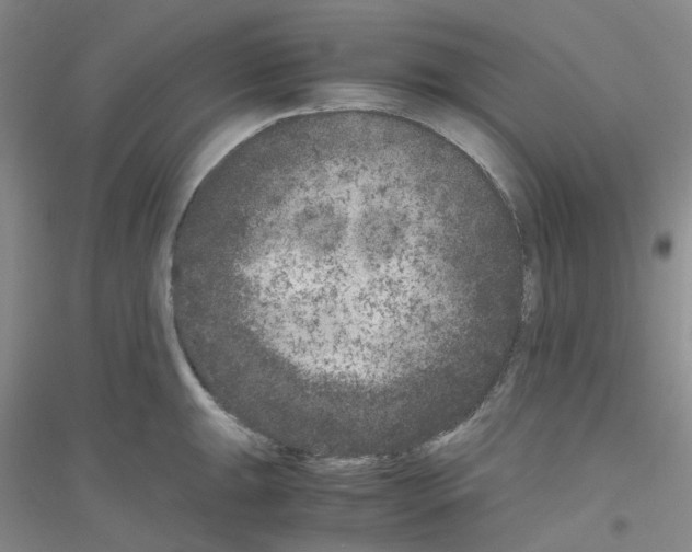 X0000116781047201001281650