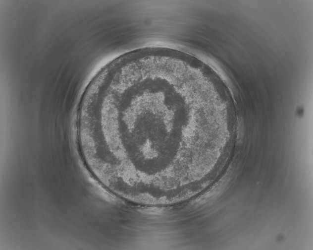 X0000116781048201001281650