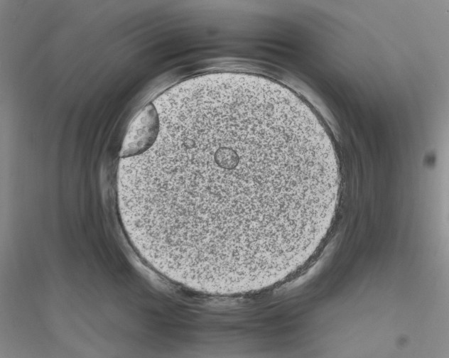 X0000116781049201001281650