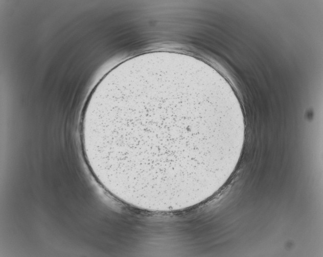 X0000116781050201001281650