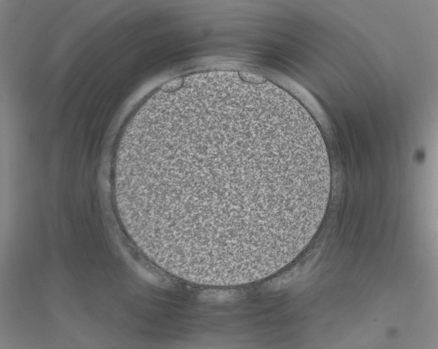 X0000116781051201001281650