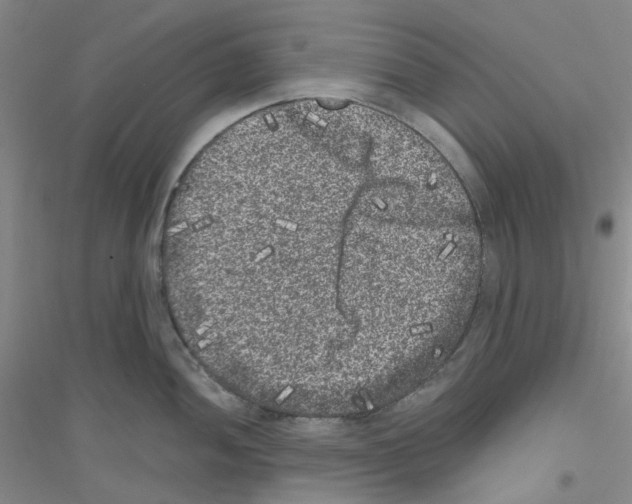 X0000116781052201001281650