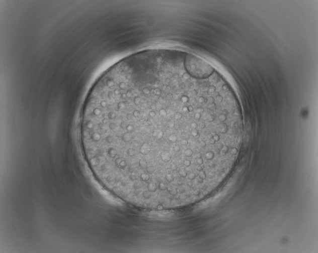 X0000116781053201001281650