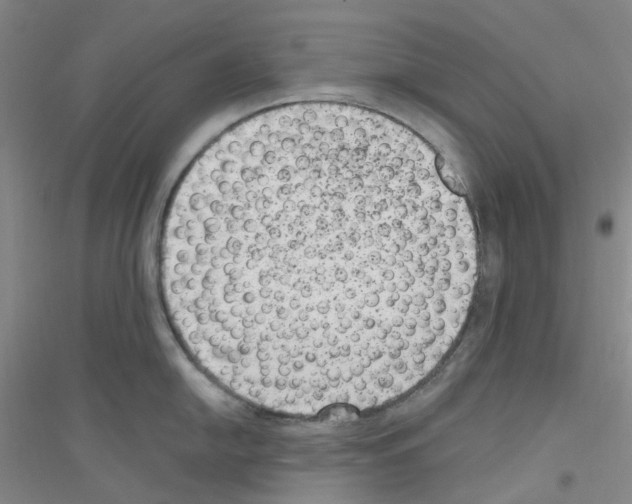 X0000116781054201001281650