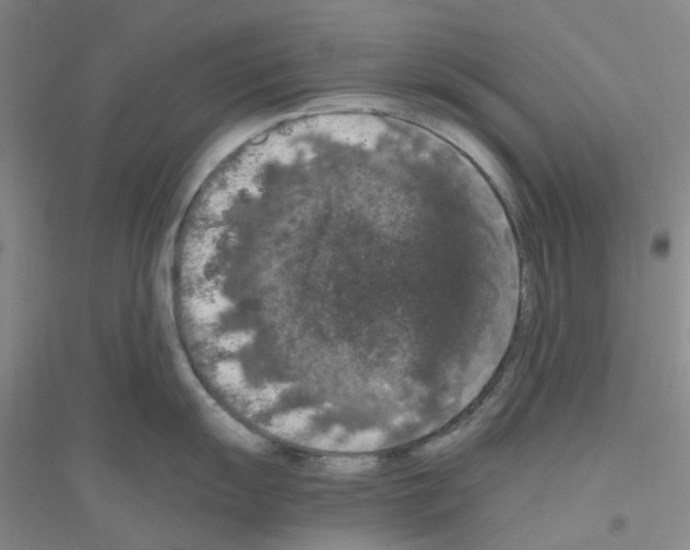 X0000116781055201001281650