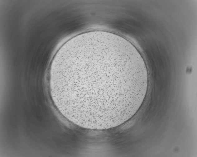 X0000116781056201001281650