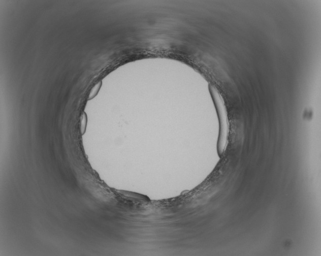 X0000116781057201001281649