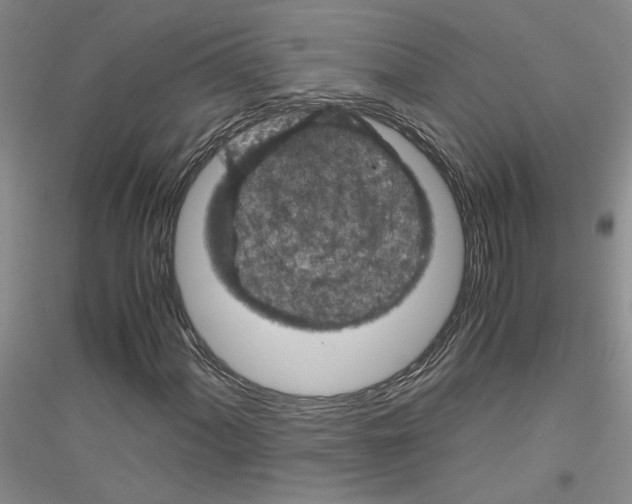 X0000116781060201001281649