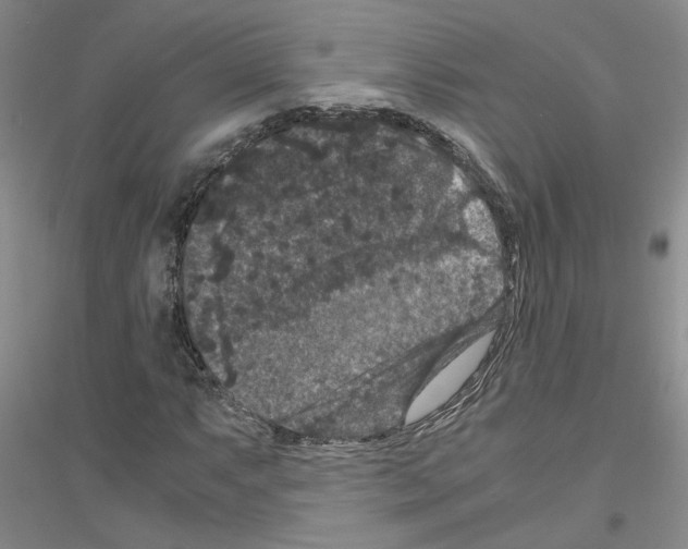 X0000116781063201001281649