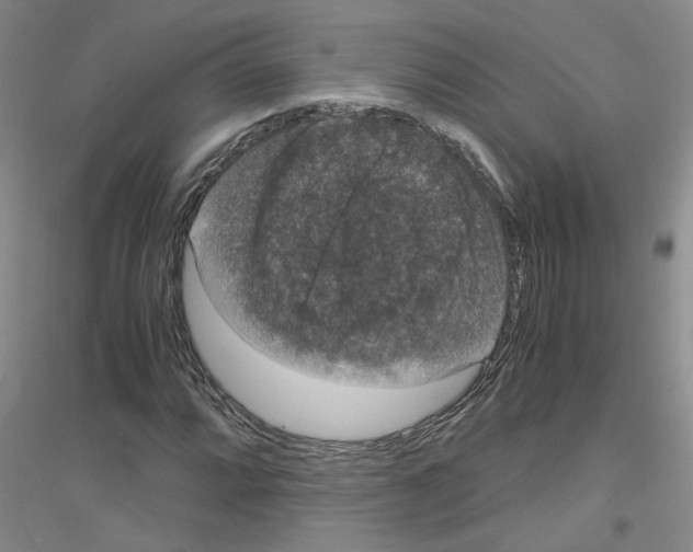 X0000116781064201001281649