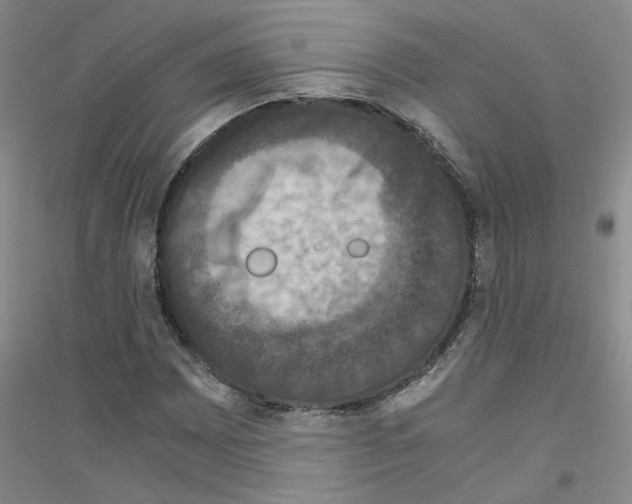 X0000116781065201001281649