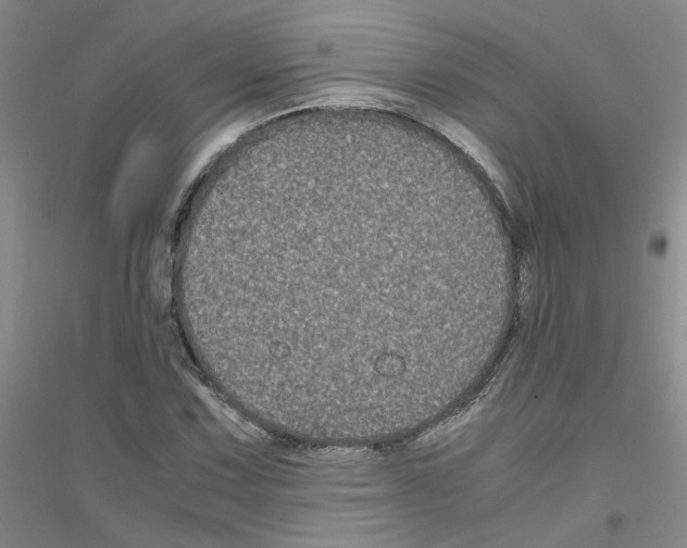 X0000116781067201001281649