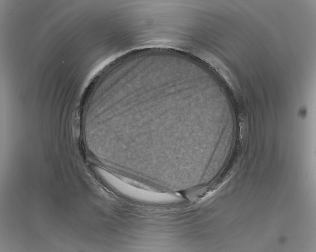 X0000116781069201001281649