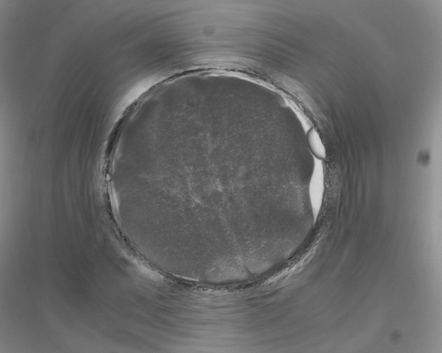 X0000116781071201001281649