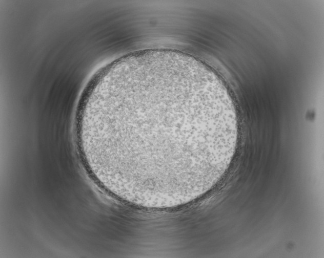 X0000116781072201001281649