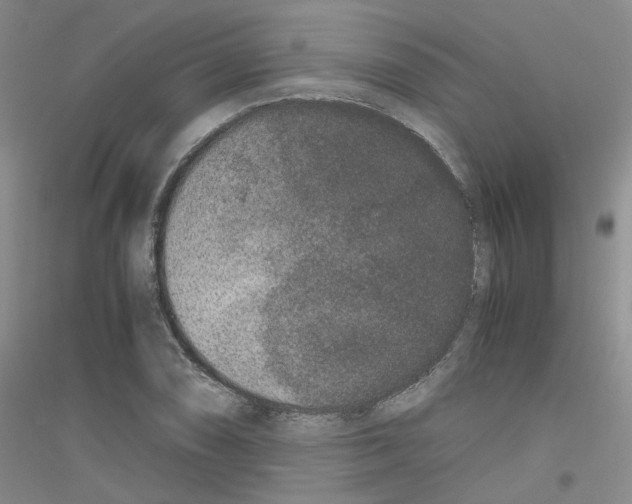 X0000116781074201001281649