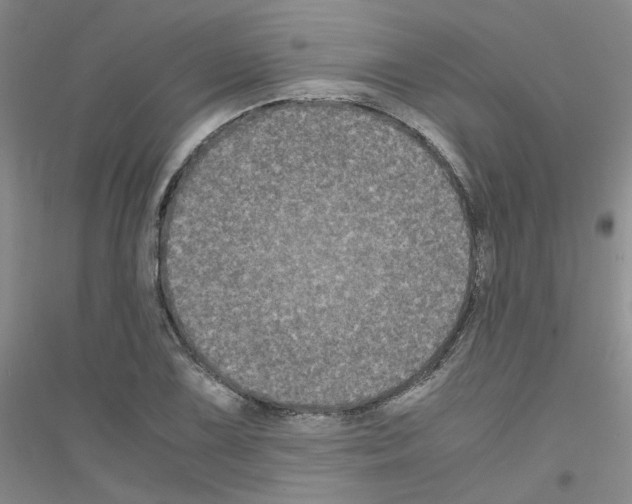 X0000116781075201001281649