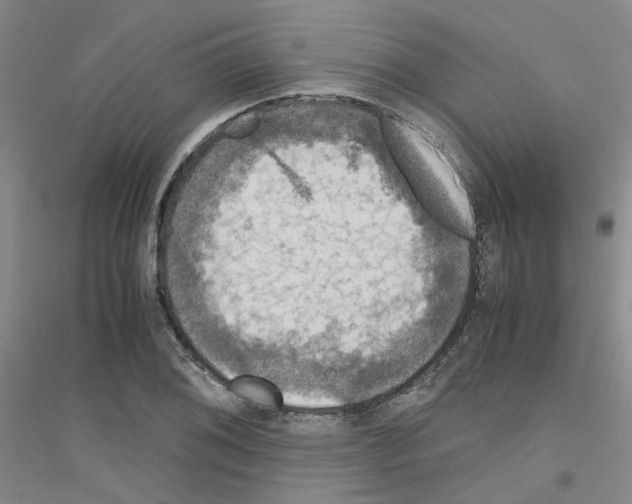 X0000116781076201001281649