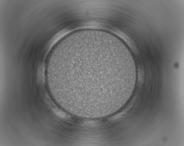 X0000116781078201001281649