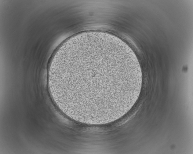 X0000116781079201001281649