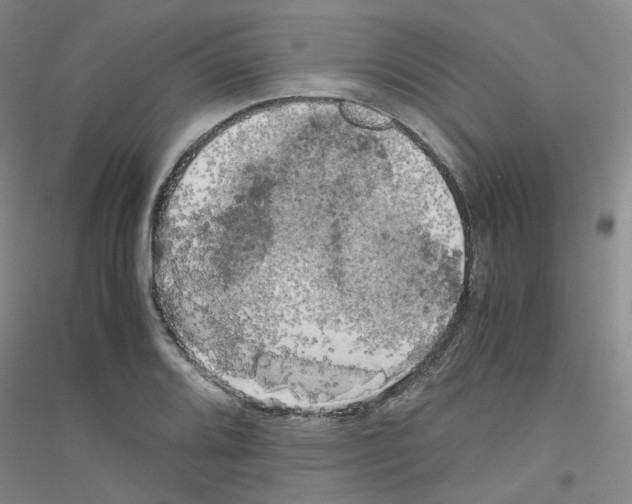 X0000116781080201001281649