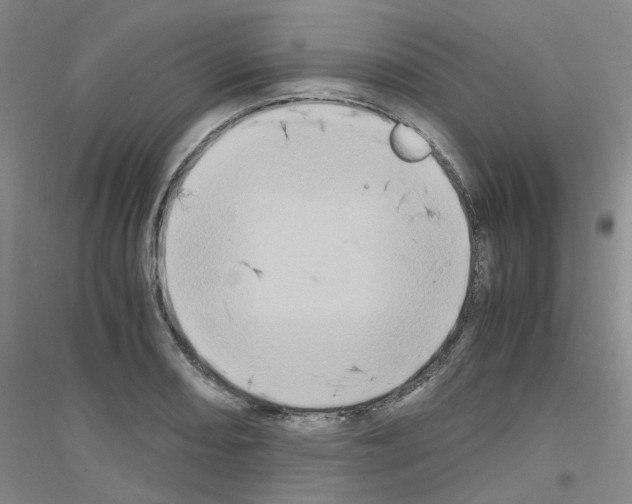 X0000116781082201001281649