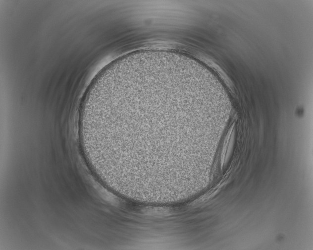 X0000116781083201001281649