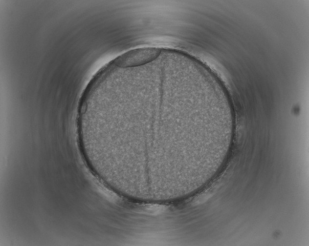 X0000116781085201001281649