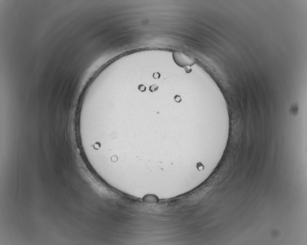 X0000116781086201001281649