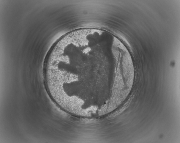 X0000116781087201001281649