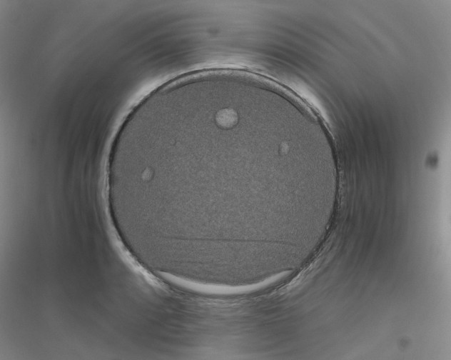 X0000116781088201001281649