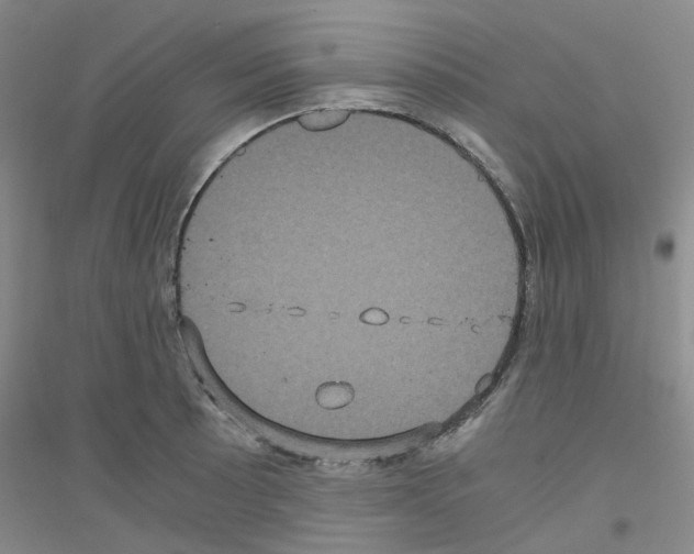 X0000116781089201001281649