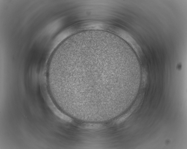 X0000116781090201001281649