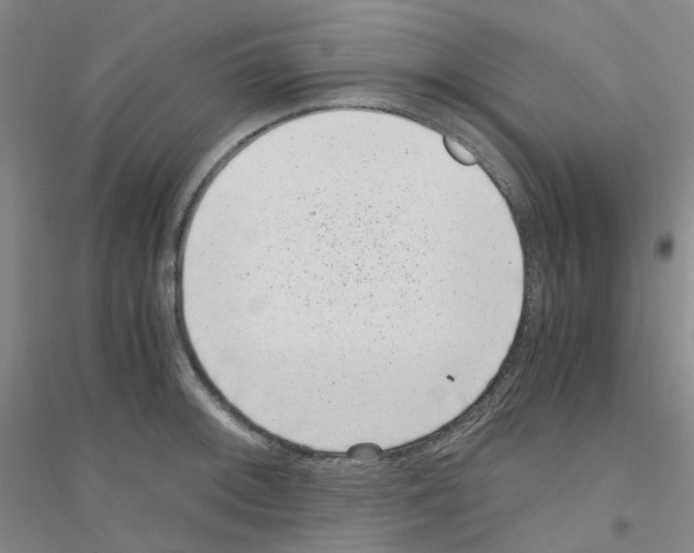 X0000116781092201001281649