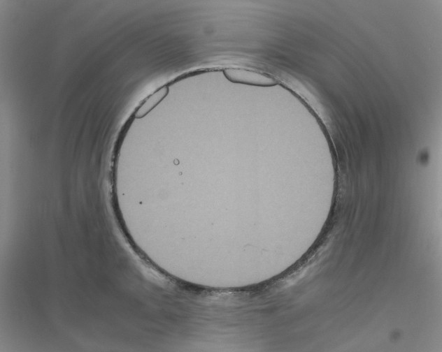 X0000116781093201001281649