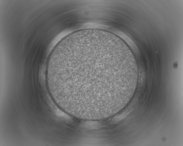 X0000116781094201001281649