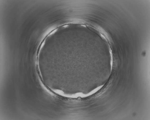 X0000116781095201001281649