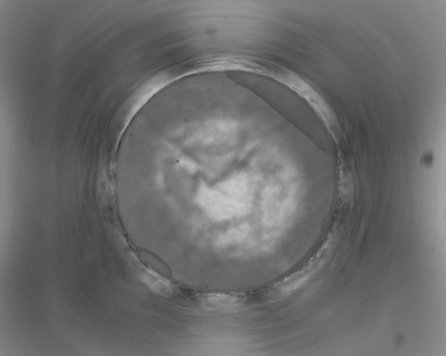 X0000116781097201001281649