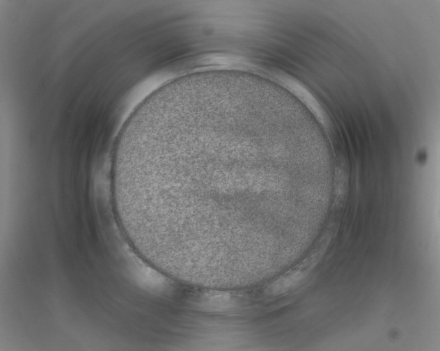 X0000116781098201001281649