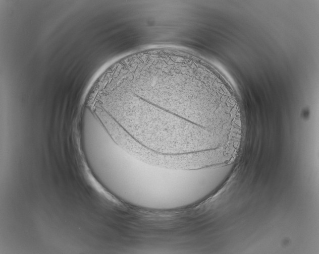 X0000116781100201001281649