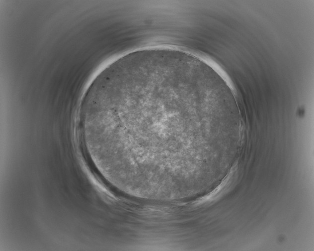 X0000116781101201001281649