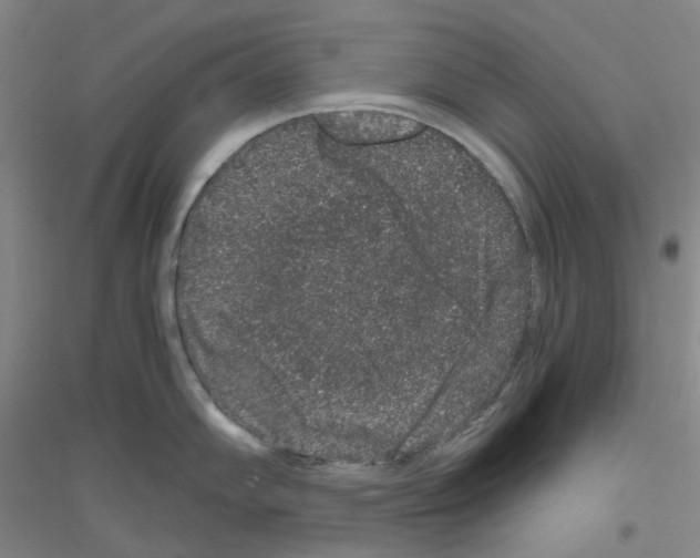 X0000116781102201001281649